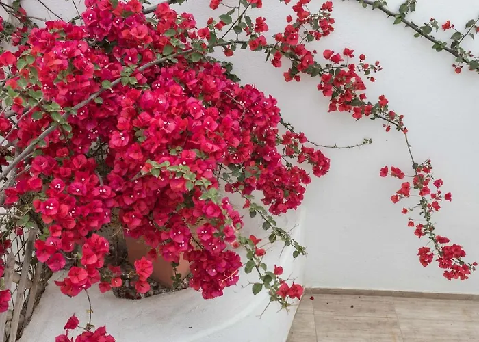 Depis & アパート Naxos City